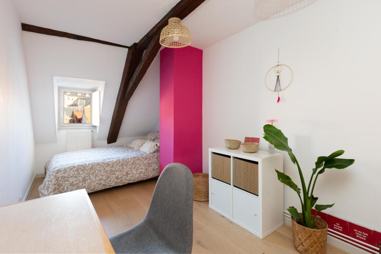 Petite France-Cathedrale, Duplex 100M2- 3 Chambres Strazburg Dış mekan fotoğraf
